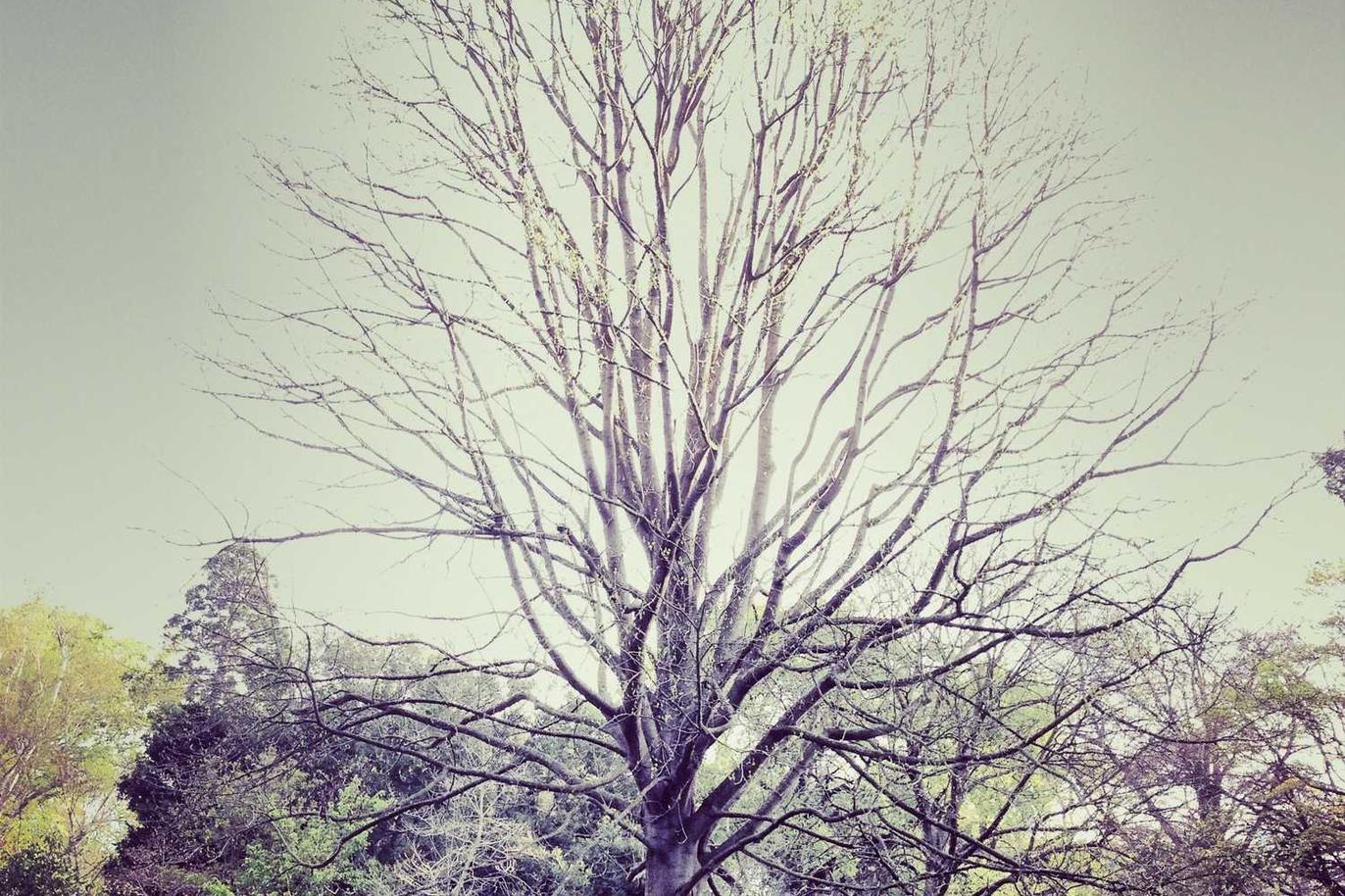 Unde necessitatibus quia sit ut aut quia